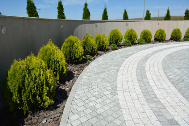 Best Driveway Paving Company  in Bronson, FL